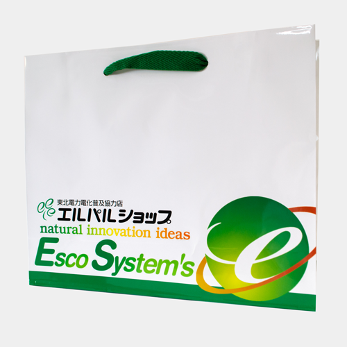 ラミネート紙袋 L2サイズ|名入れ製作所 ラミネート紙袋 L2サイズ|名入れ製作所